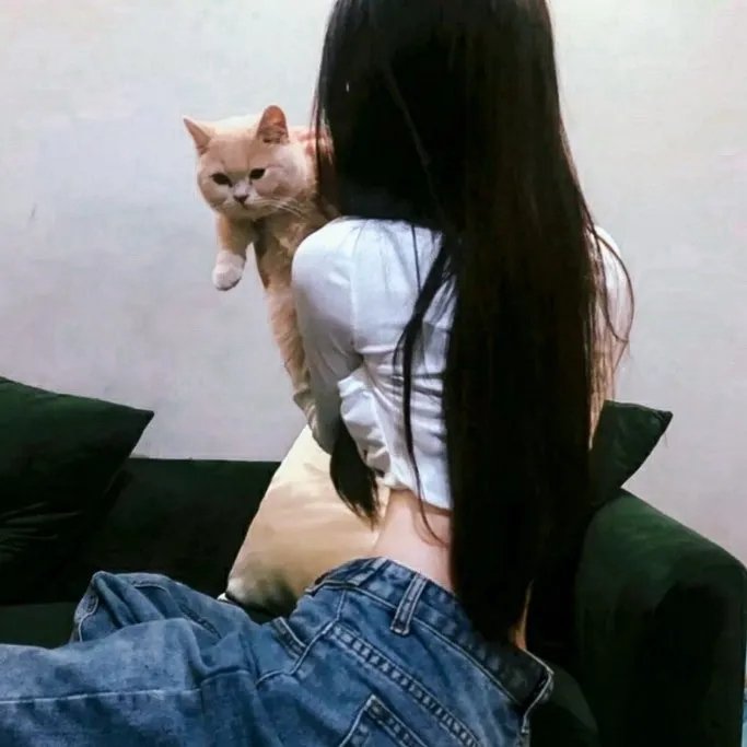 飞女黛丝